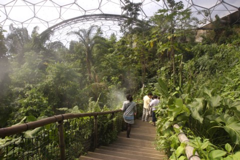Inside the Humid Tropics Biome, Eden Project, near St Austell, Cornwall.