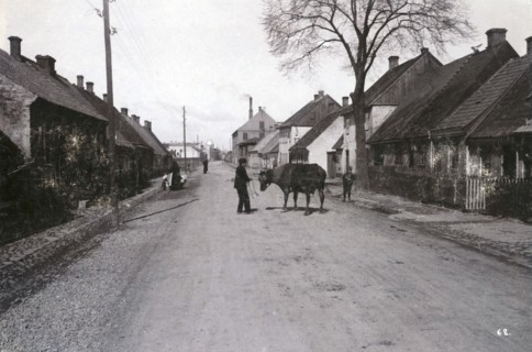 A farmer with a cow on a street, Landskrona, Sweden, 1900.  Artist: Borg Mesch