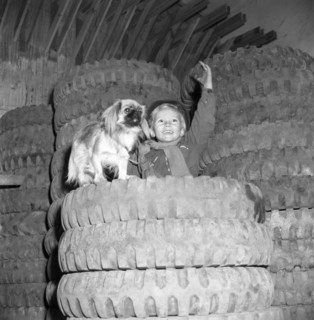 A boy with his dog on top of a pile of tyres imported from the USA, Sweden, c1940s(?). Artist: Otto Ohm