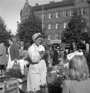 Potted plant stall in the market, Malmö, Sweden, 1947. Artist: Otto Ohm