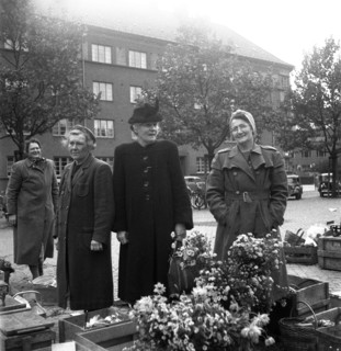 Flower stall in the market, Malmö, Sweden, 1947. Artist: Otto Ohm