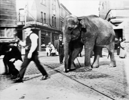 The Wakes, Bulwell, Nottingham, Nottinghamshire, c1900s. Artist: Unknown