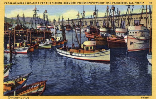 Purse seiners, Fisherman's Wharf, San Francisco, California, USA, 1940. Artist: Unknown