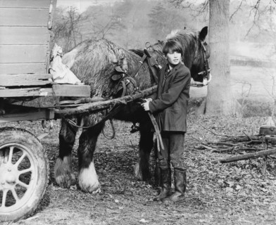 Young gypsy with a horse, 1960s.