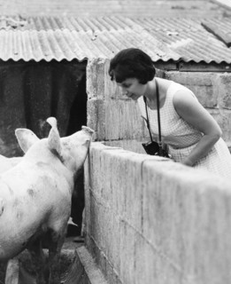 Woman and pig, 1960s.
