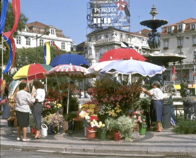 Flower sellers in the Rossio, Lisbon, Portugal.