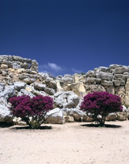 A megalithic temple complex, Ggantija, Gozo, Malta, 20th century.