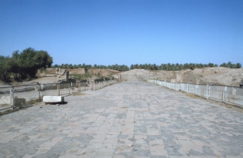 The Processional Way, Babylon, Iraq, 1977.