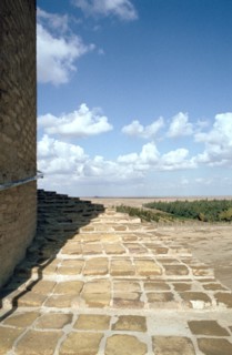 Stairway of the minaret of the Great Mosque, Samarra, Iraq, 1977.