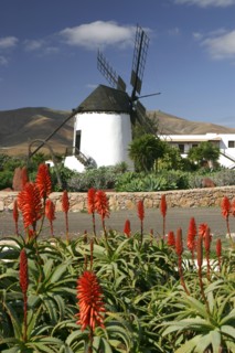 Windmill, Antigua, Fuerteventura, Canary Islands.