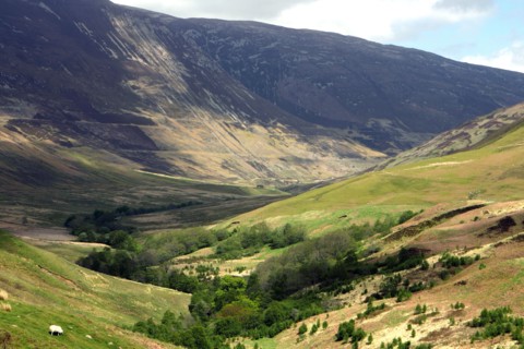 Glen Roy, Highland, Scotland.