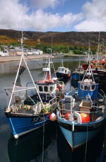 Fishing boats, Ullapool harbour, Highland, Scotland.
