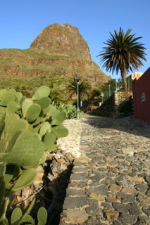 Cactus and street in Masca, Tenerife, Canary Islands, 2007.