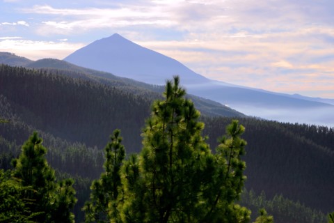 Mount Teide, volcano on Tenerife, Canary Islands, 2007.
