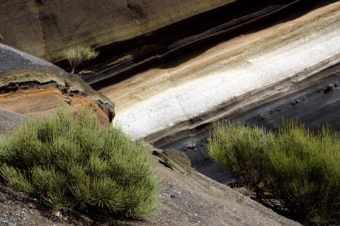 Vegetation and rock formations, Parque Nacional del Teide, Tenerife, Canary Islands, 2007.