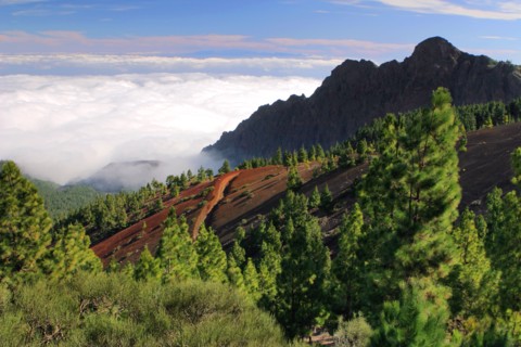 View from Mirador de la Cumbre, Parque Nacional del Teide, Tenerife, Canary Islands, 2007.