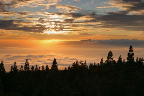 Parque Nacional del Teide, Tenerife, Canary Islands, 2007.