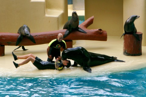 Sea lion show, Loro Parque, Tenerife, Canary Islands, 2007.