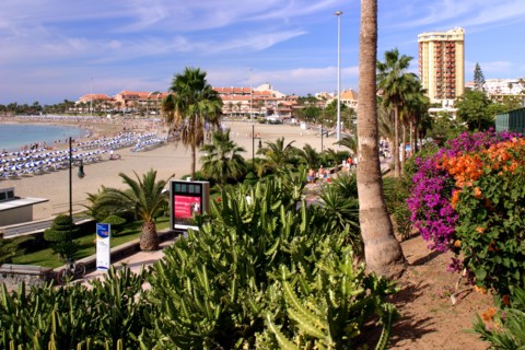 Playa de las Vistas, Los Cristianos, Tenerife, Canary Islands, 2007.