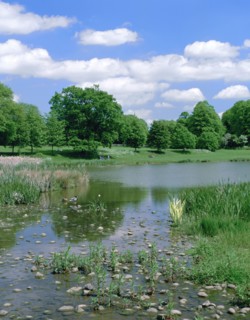 Kenilworth Abbey Fields, Warwickshire.