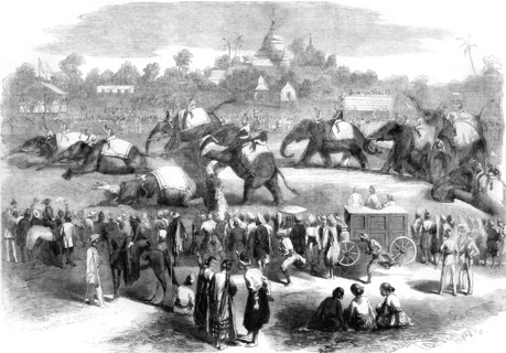 Elephant steeplechase at Rangoon, Burma, 19th century(?). Artist: Unknown