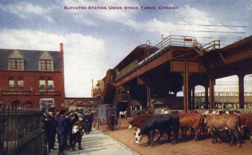 Elevated station, Union Stock Yards, Chicago, Illinois, USA, 1910. Artist: Unknown