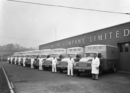 Bedford delivery lorries at the Danish Bacon Co, Kilnhurst, South Yorkshire, 1957.  Artist: Michael Walters