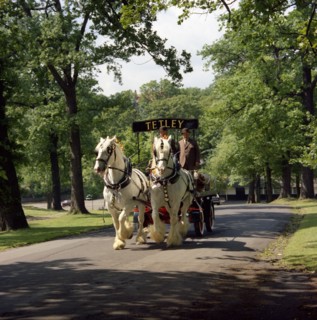 Tetley shire horses, Roundhay Park, Leeds, West Yorkshire, 1968.  Artist: Michael Walters