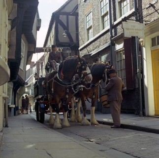 Tetley shire horses in the Shambles, York, North Yorkshire, 1969. Artist: Michael Walters