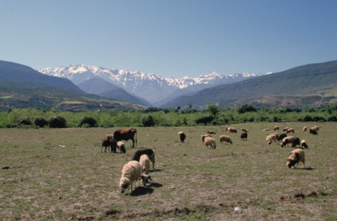 High Atlas, Morocco.