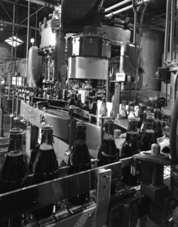 Beer bottles being filled at Ward & Sons, Swinton, South Yorkshire, 1960. Artist: Michael Walters