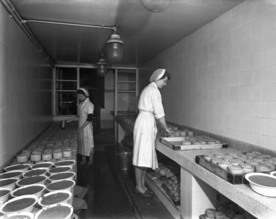 Making pork pies, Schonhut's butchery factory, Rawmarsh, South Yorkshire, 1955. Artist: Michael Walters