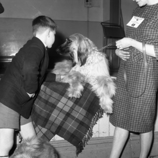 Child with an Afghan Hound at a dog show in Horden, County Durham, 1963.  Artist: Michael Walters