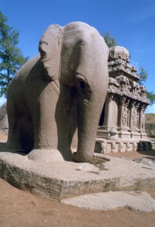Carved stone elephant, Five Rathas, Mahabalipuram, Tamil Nadu, India.