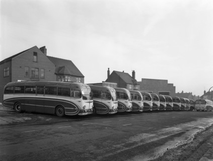 Fleet of AEC Regal Mk4s belonging to Philipson's Coaches, Goldthorpe, South Yorkshire, 1963. Artist: Michael Walters
