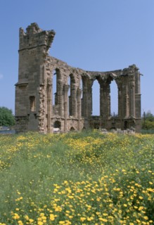 Ruins of the Church of St George of the Latins, Famagusta, North Cyprus, 2001.