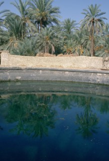 Cleopatra's Pool, Siwa, Egypt.