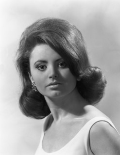 Model portrait, 1964.  Artist: Michael Walters