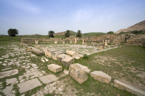 The forum at Bulla Regia, Tunisia. Artist: Samuel Magal