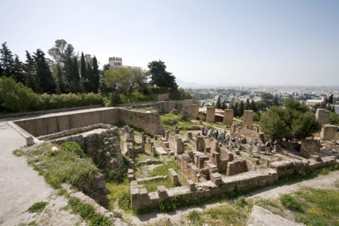Byrsa Hill, Carthage, Tunisia. Artist: Samuel Magal