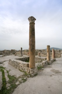 The House of the Hunting Scene, Bulla Regia, Tunisia. Artist: Samuel Magal