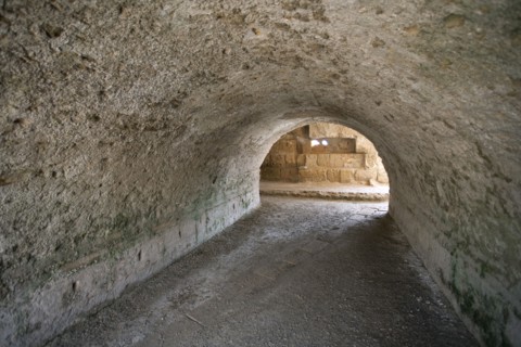 The Baths of Antoninus Pius at Carthage, Tunisia. Artist: Samuel Magal