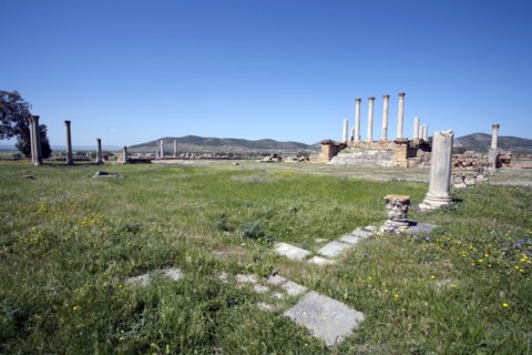 The forum at Thuburbo Majus, Tunisia. Artist: Samuel Magal