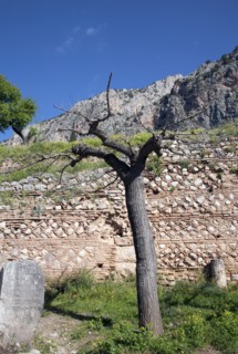 The walls of Delphi, Greece. Artist: Samuel Magal