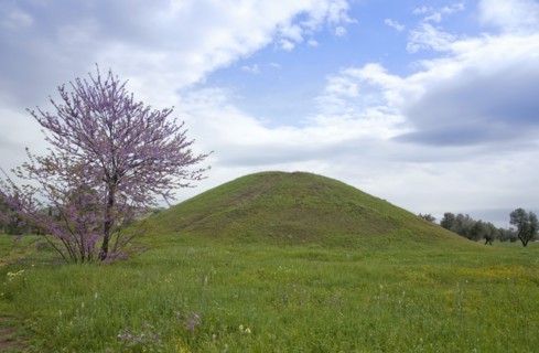 The burial mound of the Athenians at Maratona (Marathonas), Greece. Artist: Samuel Magal