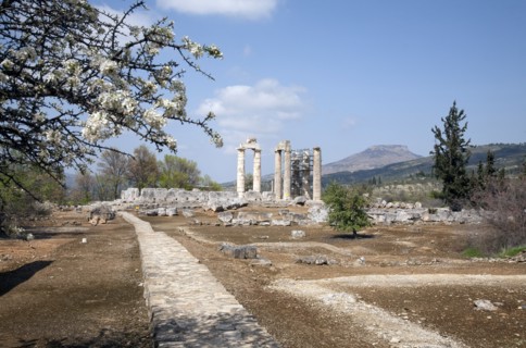 The Temple of Zeus at Nemea, Greece. Artist: Samuel Magal
