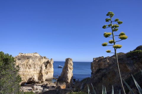 Coastal view, Algarve, Portugal, 2009. Artist: Samuel Magal