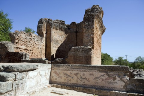 A fish mosaic in the sanctuary at Milreu, Portugal, 2009. Artist: Samuel Magal