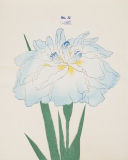 U-Chu, No. 25, 1890, (colour woodblock print)