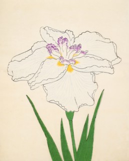 Cho-Hiyen, No. 91, 1890, (colour woodblock print)
